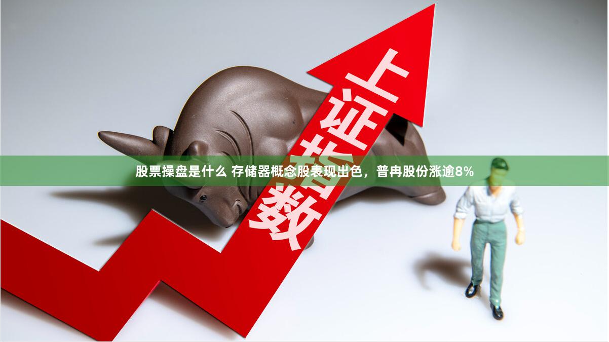 股票操盘是什么 存储器概念股表现出色，普冉股份涨逾8%