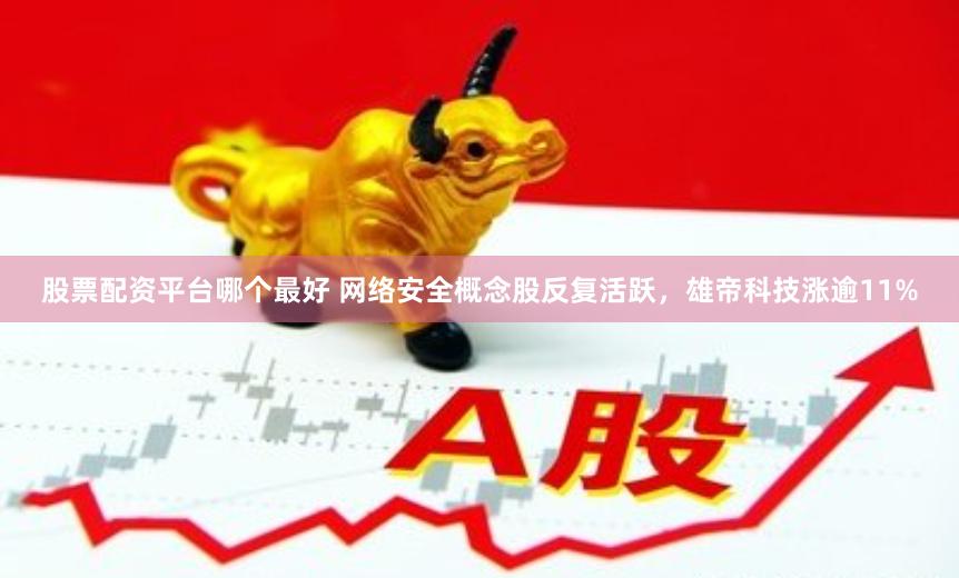 股票配资平台哪个最好 网络安全概念股反复活跃，雄帝科技涨逾11%
